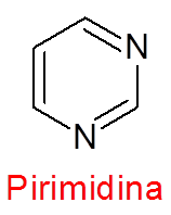 Estructura básica de las pirimidinas