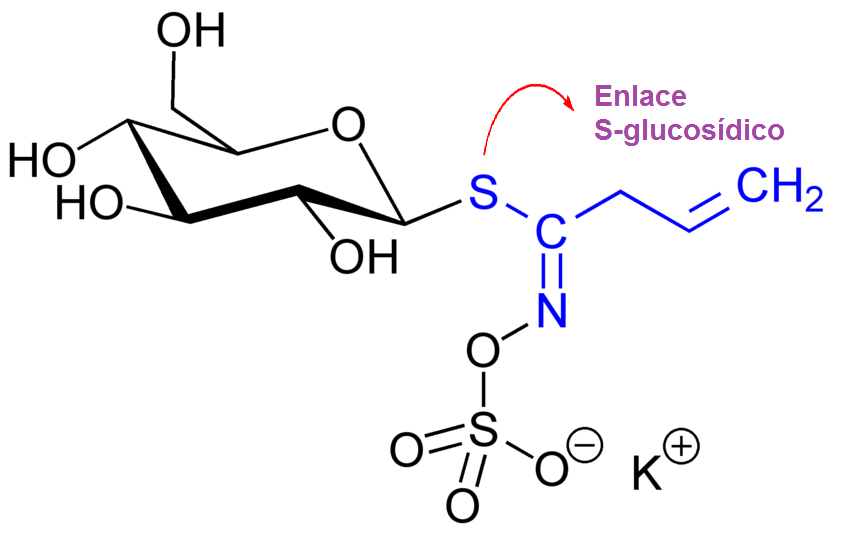 Enlaces S-glucosídicos