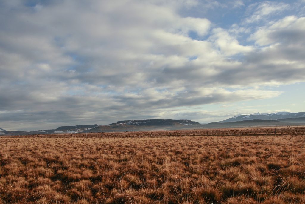 Pradera en la pampa Argentina