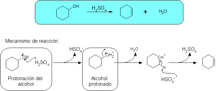 ¿Qué es la protonación?