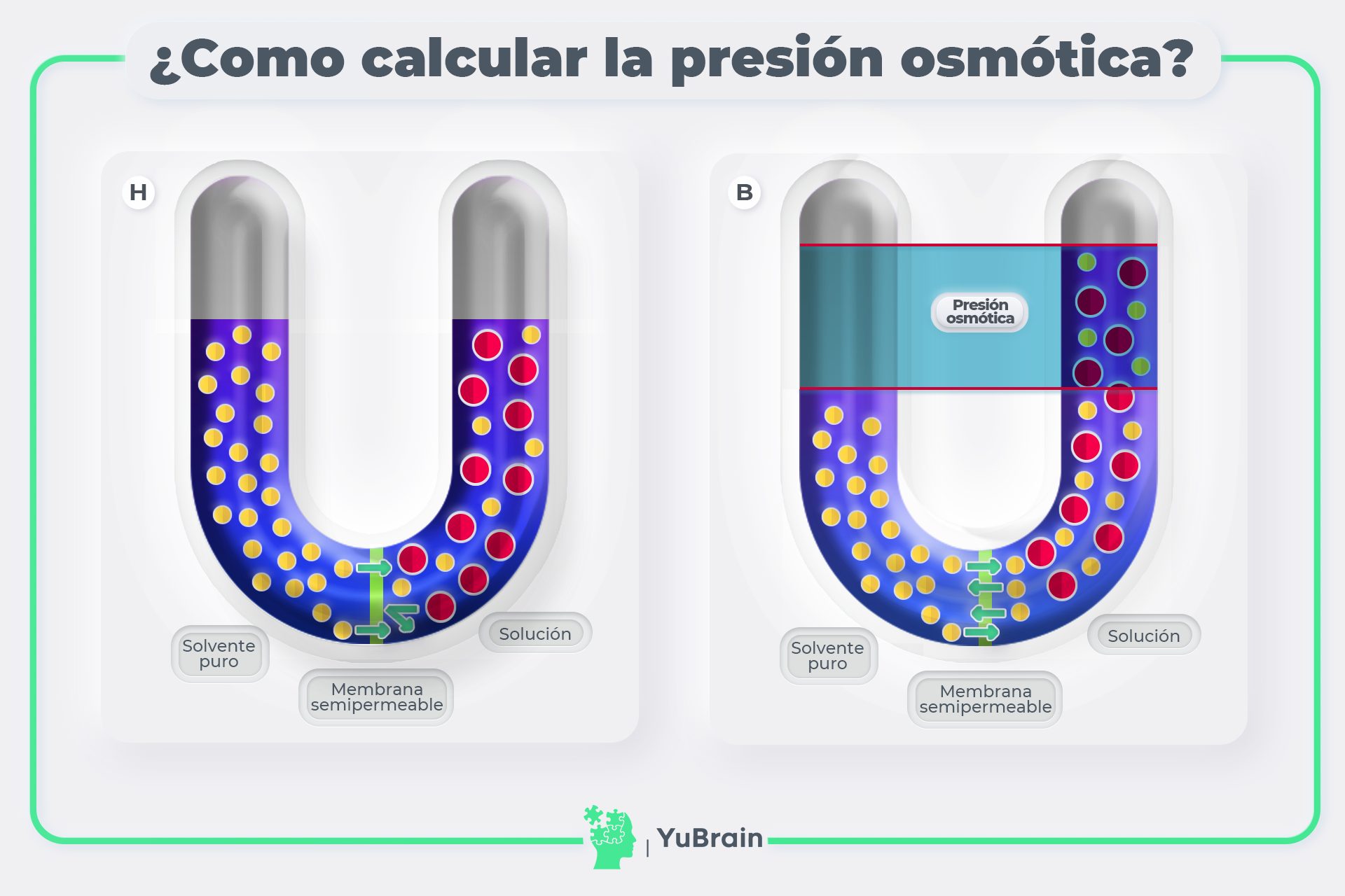 Problema de cálculo de la presión osmótica YuBrain